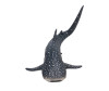  Konik   AMS3031 - Konik   AMS3031