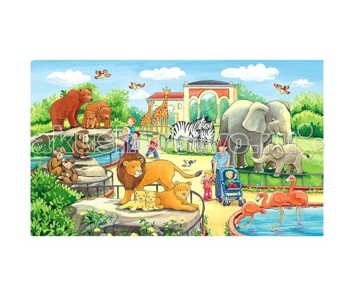  Ravensburger     15 