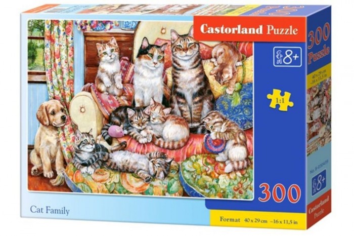  Castorland Puzzle   (300 )