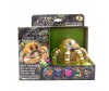  Catchuptoys  Spider Spin Cute - Catchuptoys  Spider Spin Cute