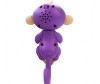   Fingerlings  370 - Fingerlings 