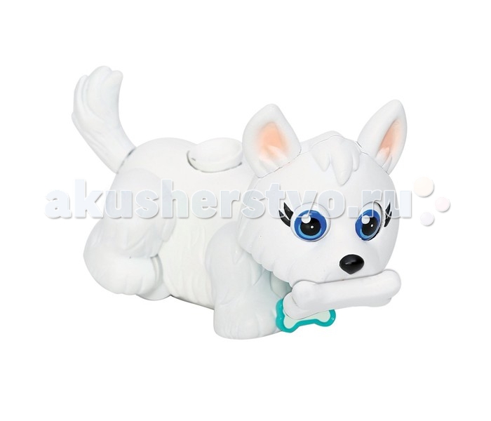  Play world Pet Parade      