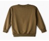  Elaria    EBsw01-2 - Elaria    EBsw01-2