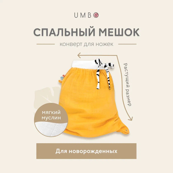   Umbo         6-