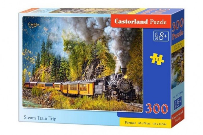  Castorland Puzzle    (300 )