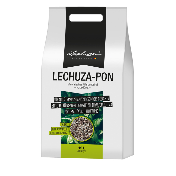  Lechuza    Pon 12 