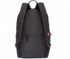  Grizzly  RQ-010-4 - Grizzly   RQ-010-4