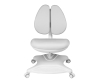  Anatomica   Robin Duos - 8-1709039295