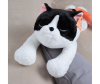   KiDWoW   364173957 - JX510017709W__2__1_.JPG-1681380597