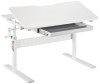  FunDesk  Colore 250608 - FunDesk  Colore 250608