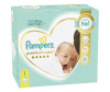  Pampers  Premium Care   .1 (2-5 ) 102 . - Pampers  Premium Care   .1 (2-5 ) 102 .