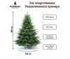  National Tree Company     180  - National Tree Company     180 