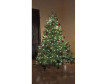  National Tree Company     180  - National Tree Company     180 