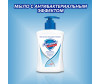  Safeguard         225  - Safeguard         225 