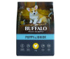  Mr.Buffalo   Puppy & Junior       2  - Mr.Buffalo   Puppy & Junior       2 