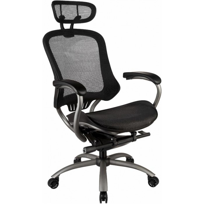 Easy Chair    Picasso-E