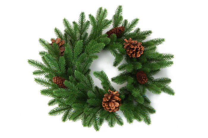  Crystal Trees      50 