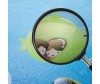   BabyPol   2001800.5  - BabyPol   2001800.5