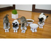  Efeet Collection  Cat  - Efeet Collection  Cat 