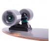  Ridex   Tropic 28.58.25" Abec-5 - Ridex   Tropic 28.58.25 Abec-5