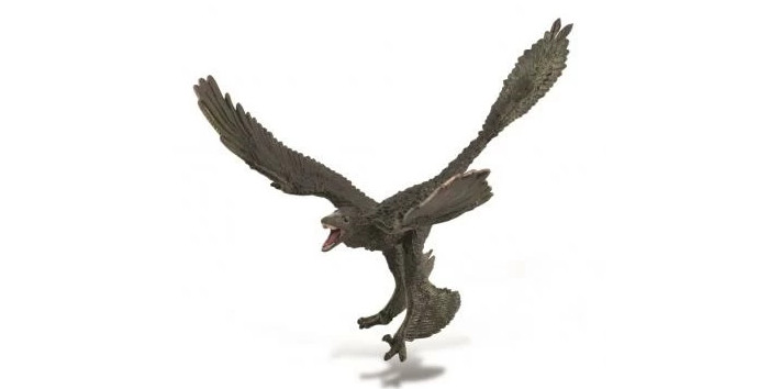  Collecta 