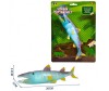  ABtoys     PT-01190 - ABtoys     PT-01190