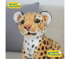   KiDWoW   393007650 - INF_LW602019902Y_1-1698766368