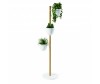  Umbra    Floristand - Umbra    Floristand