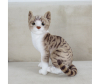  KiDWoW   392890240 - LW602919912BR__2__1_.JPG-1698771558
