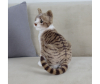   KiDWoW   392890240 - LW602919912BR__5__1_.JPG-1698770962
