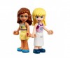  Lego Friends  - - Lego Friends   -