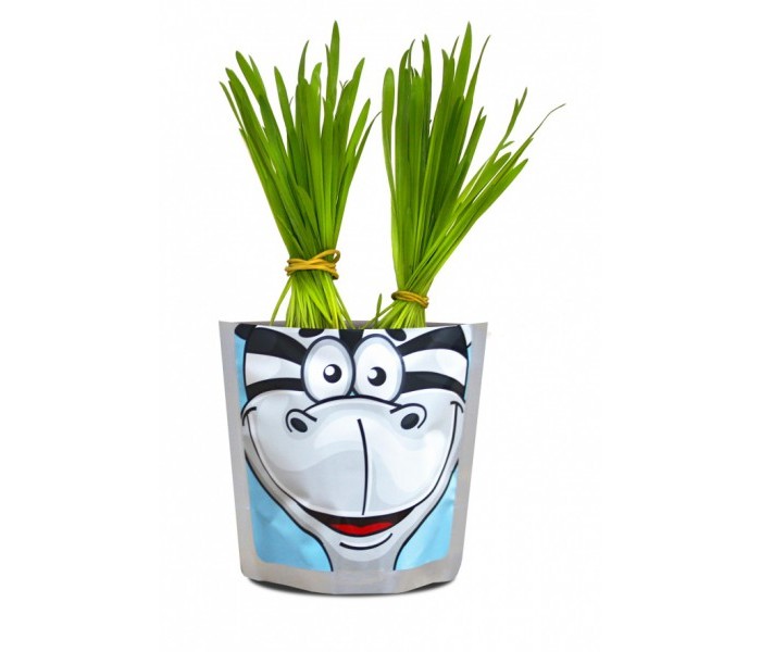  Happy Plant    