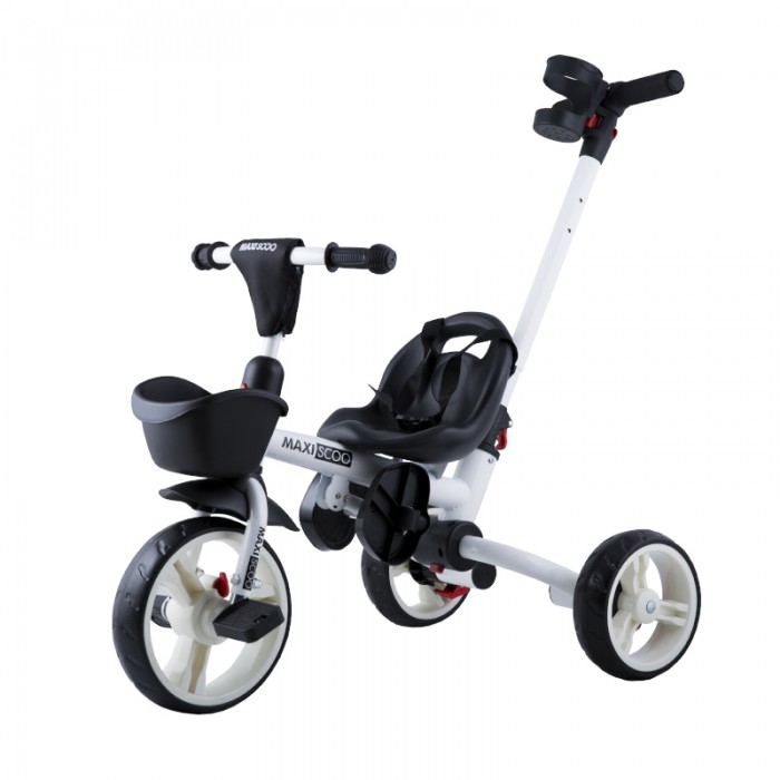   Maxiscoo  MSC-BCL081902