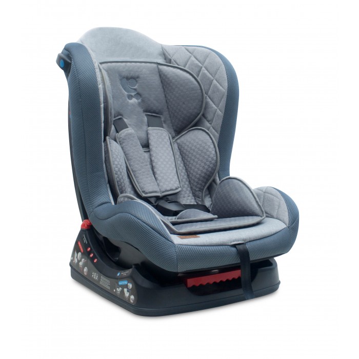  Bertoni (Lorelli) Falcon