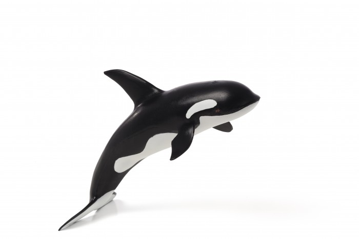  Mojo Animal Planet  Deluxe I
