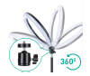  Camelion   01250 - 13012_3-1649321731