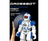  Crossbot    - - Crossbot    -