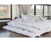  German Grass White Familie Down    260240 - German Grass White Familie Down    260240