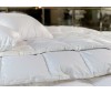  German Grass White Familie Down    260240 - German Grass White Familie Down    260240