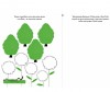  Clever    ! 60        - Clever  .,  .    ! 60       