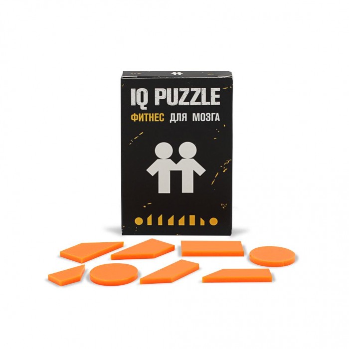  IQ Puzzle  