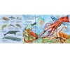  Usborne Big Book of Sea Creatures - Usborne Big Book of Sea Creatures