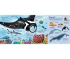  Usborne Big Book of Sea Creatures - Usborne Big Book of Sea Creatures