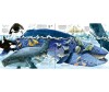  Usborne Big Book of Sea Creatures - Usborne Big Book of Sea Creatures