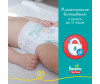  Pampers - Pants   9-15  4  99 . - Pampers - Pants   9-15  4  99 .