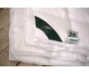  Anna Flaum  Flaum Herbst Kollektion 220200  - Anna Flaum  Flaum Herbst Kollektion 200220 