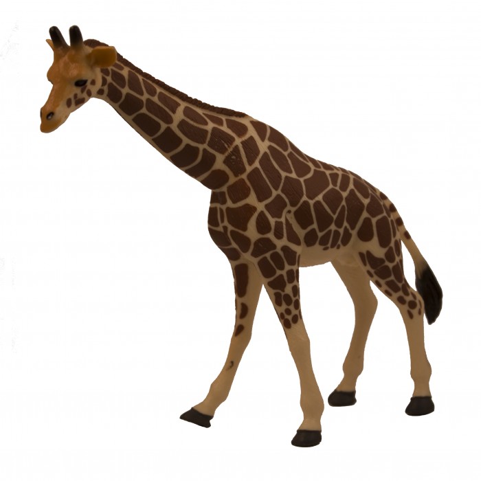  Mojo  Animal Planet  XL