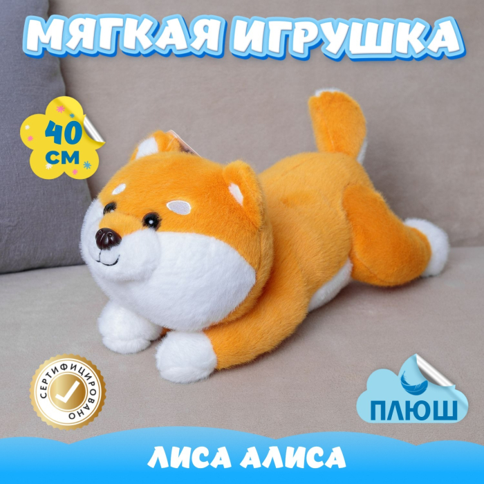   KiDWoW   351738607