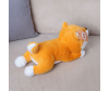   KiDWoW   351738607 - JX504016508Y__3_.JPG-1681383461