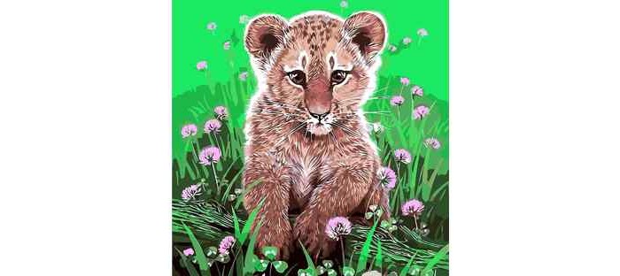  Color Kit   -   3030 